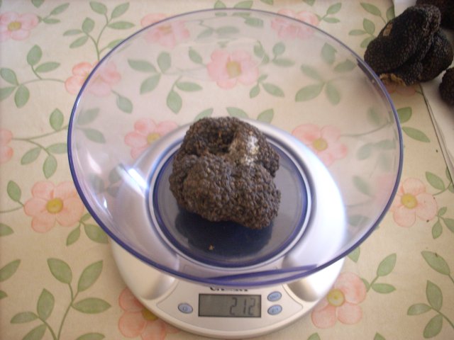 pesature 2011 4